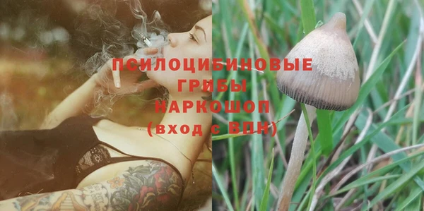гидропоника Алексин